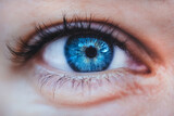 Fototapeta  - close up of a female blue eye with long black eyelashes