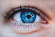 Close Up Of A Female Blue Eye With Long Black Eyelashes