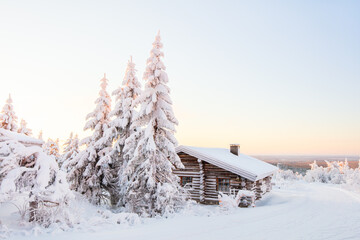 Wall Mural - Winter landscape in Finland