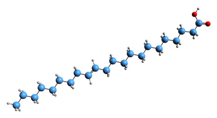 Canvas Print -  3D image of Erucic acid skeletal formula - molecular chemical structure of  omega-9 fatty acid isolated on white background