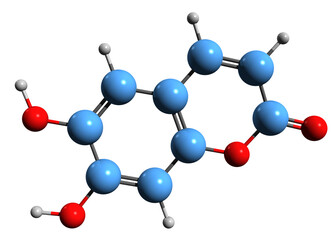 Poster -  3D image of Aesculetin skeletal formula - molecular chemical structure of cichorigenin isolated on white background