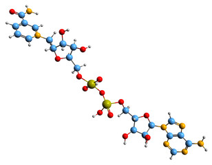 Poster -  3D image of Nicotinamide adenine dinucleotide skeletal formula - molecular chemical structure of Coenzyme I isolated on white background
