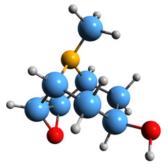 Poster -  3D image of Scopine skeletal formula - molecular chemical structure of Mandragora tropane alkaloid isolated on white background