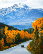 Scenic Road Trip With Rocky Mountain In Autumn Forest At Jasper National Park, Canada
