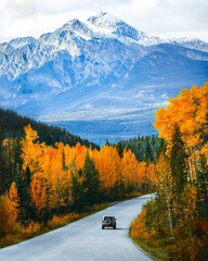 Scenic road trip with rocky mountain in autumn forest at Jasper national park, Canada