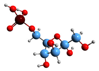 Poster -  3D image of Fructose 6-phosphate skeletal formula - molecular chemical structure of Neuberg ester isolated on white background