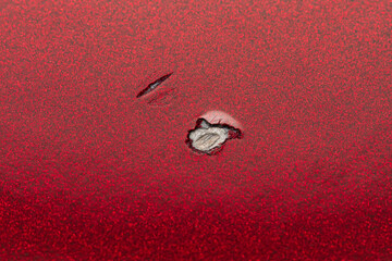 Rock chip, door ding in car paint. Automotive body repair, maintenance and paint damage concept.