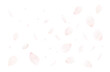 桜吹雪_サクラの花びら_舞い散る桜の花弁のイメージ｜背景透過切り抜き合成用png素材
