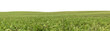 Green meadow field panorama transparent