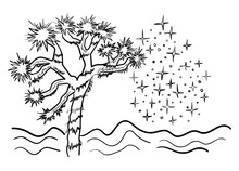 Joshua Tree Simple Outline Sketch Desert Vibe Landscape Starry Sky Vector Illustration