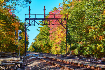 Poster - Train tracks empty in fall forest with colorful foliage