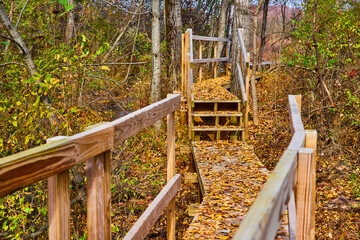 Poster - Fall leaves cover elevated boardwalk trail through forest