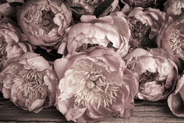 Poster - Vintage background with peony flowers over aged wooden surface