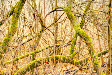 Sticker - Autumn colors in the Hungarian countryside, HDR Image