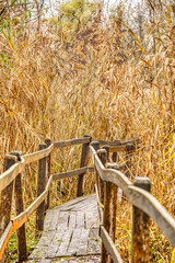 Sticker - Autumn colors in the Hungarian countryside, HDR Image