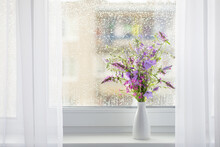 Summer Bouquet On White Windowsill Witrh  Rain Drops