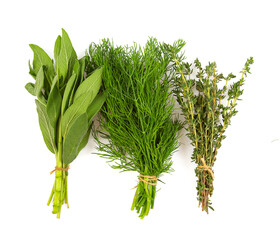 Wall Mural - Sage, thyme and dill isolated on white background. Fresh herbs.