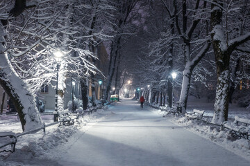 Wall Mural - A snow-covered park in Krakow captured at night. Thanks to the large amount of snow, a fairy-tale atmosphere was created.