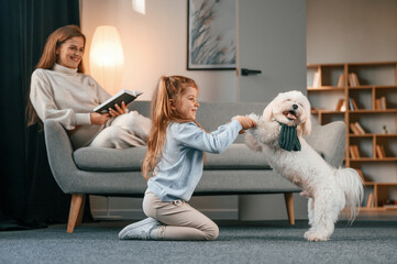 Girl is sitting on the ground and playing with pet. Mother with daughter is at home with maltese dog