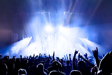 Wall Mural - crowd of people dancing at concert