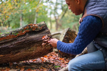 Man Looking At Small Mushroom Growing On Log In Forest At Autumn