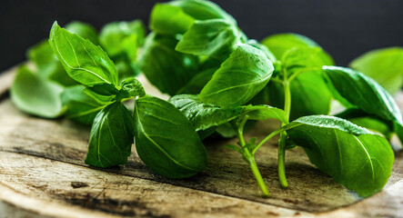 Poster - Fresh green basil leaves on a wooden board, close up view