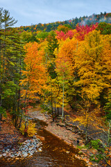 Wall Mural - Stunning colorful fall forest with river flowing through 