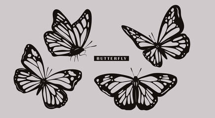 Wall Mural - Black outline Butterflies collection. Beautiful nature flying insects. Butterfly silhouettes. Hand drawn modern Vector illustration. All elements are isolated. Tattoo idea, print, logo template