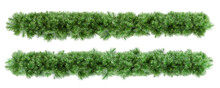 Christmas Tree Branches Isolated 
