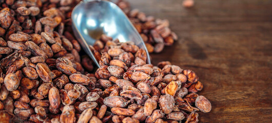 Aromatic brown Cocoa beans and cocoa seed on the cocoa concept with raw materials of Chocolat as background