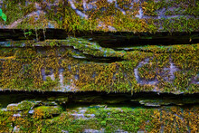 Stone Wall With Cracks Texture And Covered In Moss