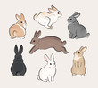 Rabbits with different fur patterns. A set of cute rabbit illustrations in various poses.