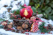 © Natalia Greeske - Apfel mit Tannenbaum-Motiv im Korb mit Zapfen und Walnüssen als Weihnachtsdekoration