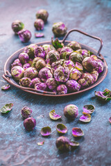 Wall Mural - Organic Raw Green and Purple Brussel Sprouts in bowl