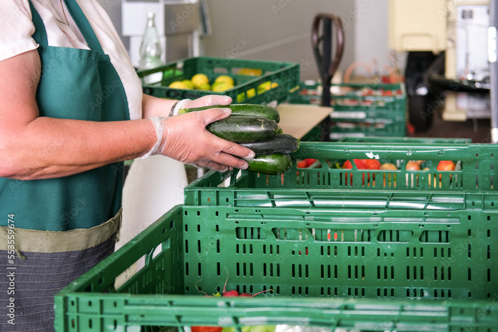 Stock-Foto „Lebensmittelspende Tafel: Ehrenamtliche Frau mit Handschuhen packt Obst und Gemüse wie frische Zucchini in grüne Kisten für die Verteilung an Bedürftige - selektiver Fokus“