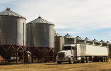 A Grain Truck Parked In Front Of Metal Silos During Harvest; Legal, Alberta, Canada