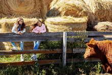Two Young Sisters Standing On A Fence Together Watching A Cow In The Barnyard With Hay Bale In The Background On Their Family Farm; Alcomdale, Alberta, Canada