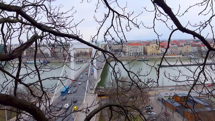 Wall Mural - Elisabeth Bridge over Danube River through the lush branches, Budapest, Hungary