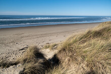 Breezy Day Along The Oregon Coast At Horsfall Beach