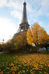 Wall Mural - Scenic view of the Eiffel tower and Champ de Mars park on a beautiful and colorful autumn day . Paris.