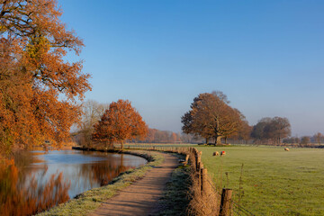 Wall Mural - Winter landscape view of white frost in morning, Nature path along the Kromme Rijn river (Crooked Rhine) in Rhijnauwen, Bunnik is a municipality and a village in the province of Utrecht Netherlands.