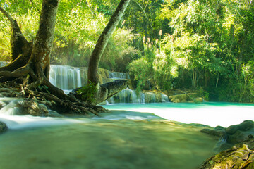  Tat Kuang Si Waterfalls, beautiful forest waterfall of Laos