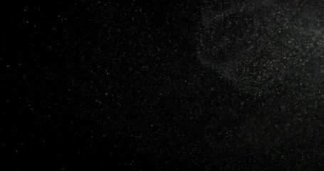 Wall Mural - Particles black screen. Filmed with RED camera. High quality 4k footage
