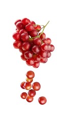 Wall Mural - Tasty sweet grape fruits on background.