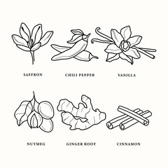 Wall Mural - Line art herbs and spices illustration