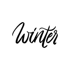 Wall Mural - Winter Brush Lettering. Vector Illustration of Calligraphy Isolated over White Text.