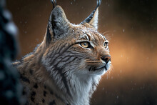 Portrait Of A Lynx.  Dangerous Predator In Natural Habitat. Digital Art	