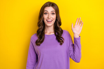 Sticker - Photo of excited sweet lady wear violet sweater waving arm palm hi isolated yellow color background