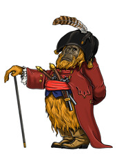 Wall Mural - Orangutan with the pistols coloring page. Coloring book illustration. Monkey and apes pirates coloring sheet.