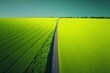 © FuryTwin - Green plain slope with road. green landscape. illustration art. Digital painting. Generative AI.